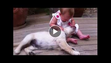 Golden Retriever Puppy Welcomes Adorable 8-Month-Old Girl