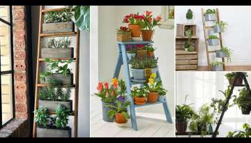 15 Functional Indoor Ladder Planter Ideas
