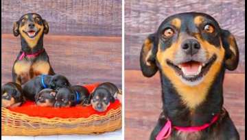 20 Delightful Pictures Of Animal Parents With Their Babies 20 Delightful Pictures Of Animal Parents With Their Babies