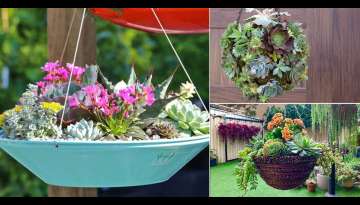 28 Beautiful Succulent Hanging Garden Ideas