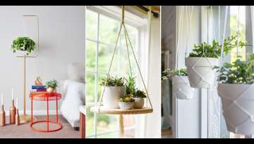 28 Creative DIY Plant Hanger Ideas