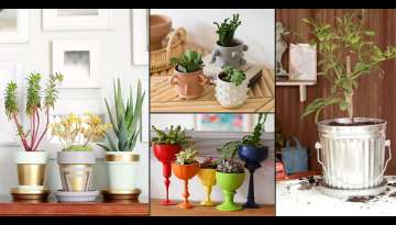 32 DIY Houseplant Pots Ideas and Makeover