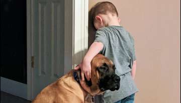 Dog Accompanies 3-Year-Old Boy During Timeout So He Won’t Feel Lonely