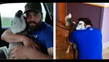 Dog Is Reunited With His Dad After Being Lost For 4 Years Dog Is Reunited With His Dad After Being Lost For 4 Years