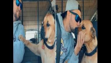 Rescue Dog Won't Let Go Of His New Dad's Hand Rescue Dog Won't Let Go Of His New Dad's Hand