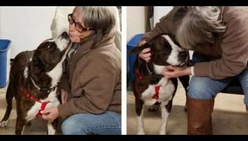 She Drove 1,500 Miles To Adopt The Dog Who Spent 4 Years In The Shelter She Drove 1,500 Miles To Adopt The Dog Who Spent 4 Years In The Shelter