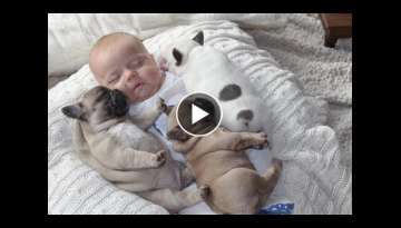 The boy is sleeping with the Dog-Sleeping With Your Dog In Your Bed Is Actually Really Good For Y...