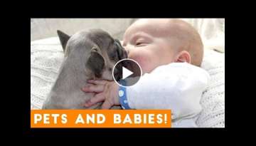 Most Adorable Animal and Baby Compilation