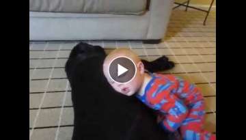 Baby Sleeps on Dog