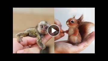 10 Cutest Baby Animals That Will Make You Go Aww #2 10 Cutest Baby Animals That Will Make You Go Aww #2