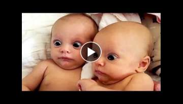 99 % Lose this TRY NOT TO LAUGH Challenge - Funniest Babies Vines