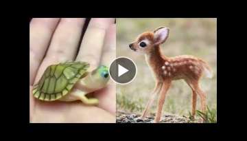 Cute baby animals Videos Compilation cute moment of the animals Cute baby animals Videos Compilation cute moment of the animals
