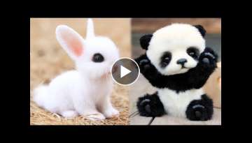Cute baby animals Videos Compilation cute moment of the animals Cute baby animals Videos Compilation cute moment of the animals
