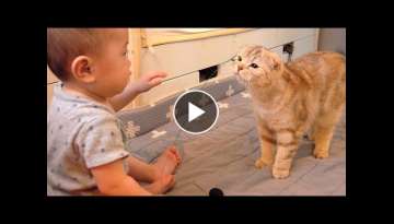 Cat and Baby butler, Becoming Friends Cat and Baby butler, Becoming Friends