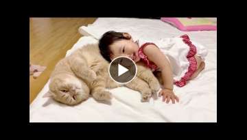Loving Family Cat Always There For His Little Human Sister