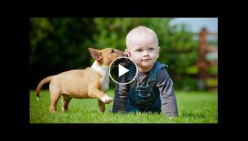 Puppies and Babies Playing Together Compilation Part 3 Puppies and Babies Playing Together Compilation Part 3