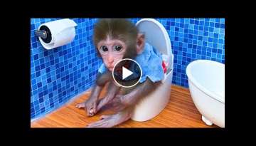 Monkey Baby Bon Bon buys toilet paper in the supermarket and plays with the Puppy So cute Monkey Baby Bon Bon buys toilet paper in the supermarket and plays with the Puppy So cute