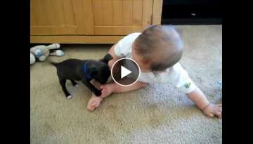 cutest baby and dog