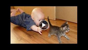 Videos that make babies and cats laugh Videos that make babies and cats laugh