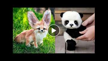 10 Cutest Baby Animals You Need To Pet 10 Cutest Baby Animals You Need To Pet