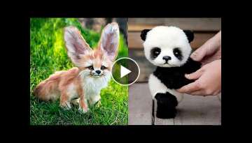 10 Cutest Baby Animals You Need To Pet