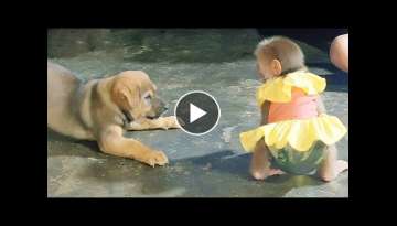 Cute Puppy just likes to joke, but Sky is very hot tempered Cute Puppy just likes to joke, but Sky is very hot tempered