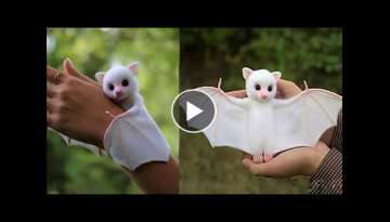 9 Cute Exotic Animals You Can Own as Pets 9 Cute Exotic Animals You Can Own as Pets